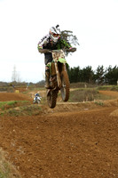 bike green [2]