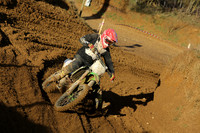 bike green [3]