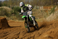 bike green [5]